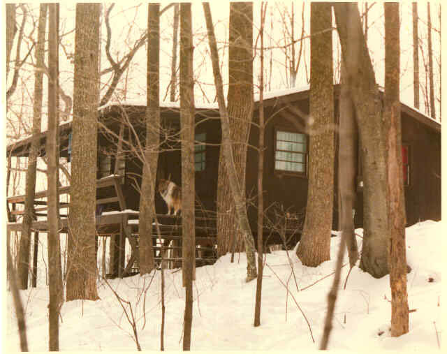 Our Cabin, The Early Years